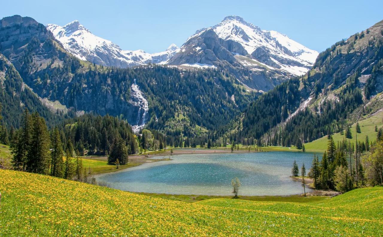 Hotel Alpenland Gstaad Buitenkant foto